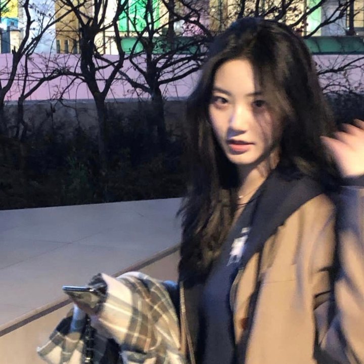小查与寇弟的顶级冒险